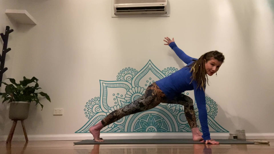 Vinyasa Flow - Gratitude as Medicine